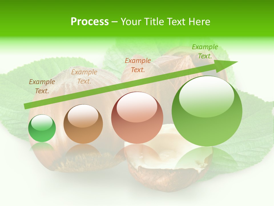 Shell Squirrel Background PowerPoint Template