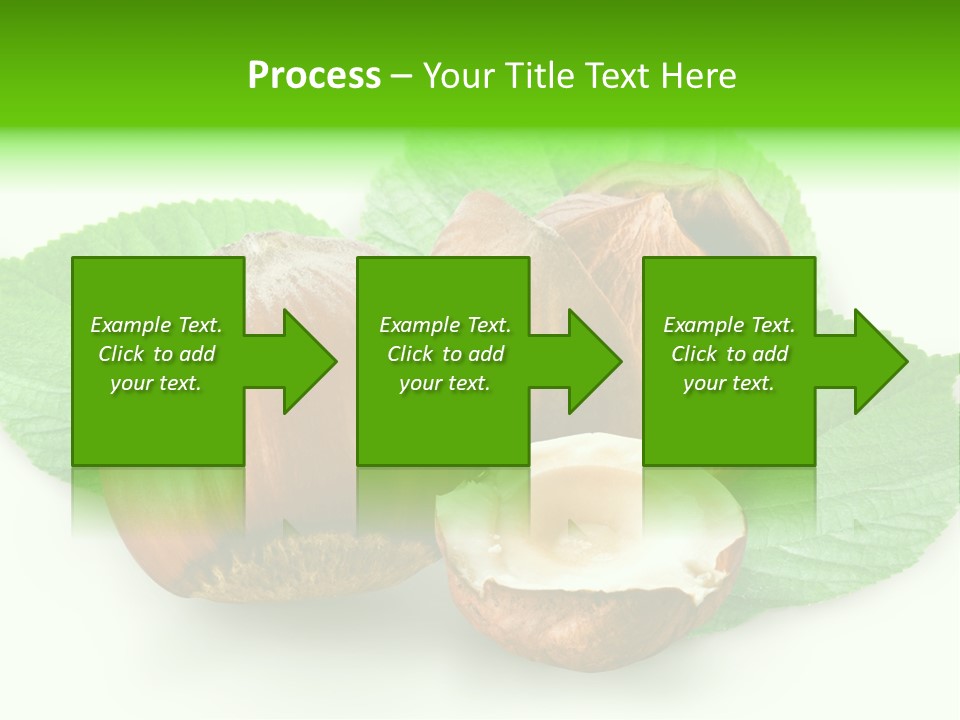 Shell Squirrel Background PowerPoint Template