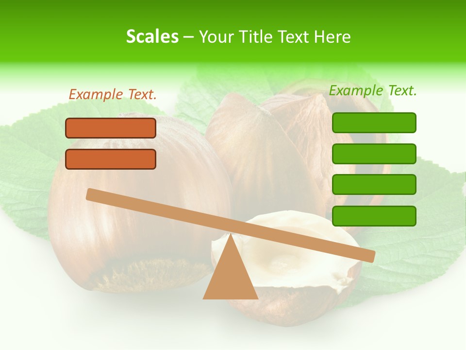 Shell Squirrel Background PowerPoint Template