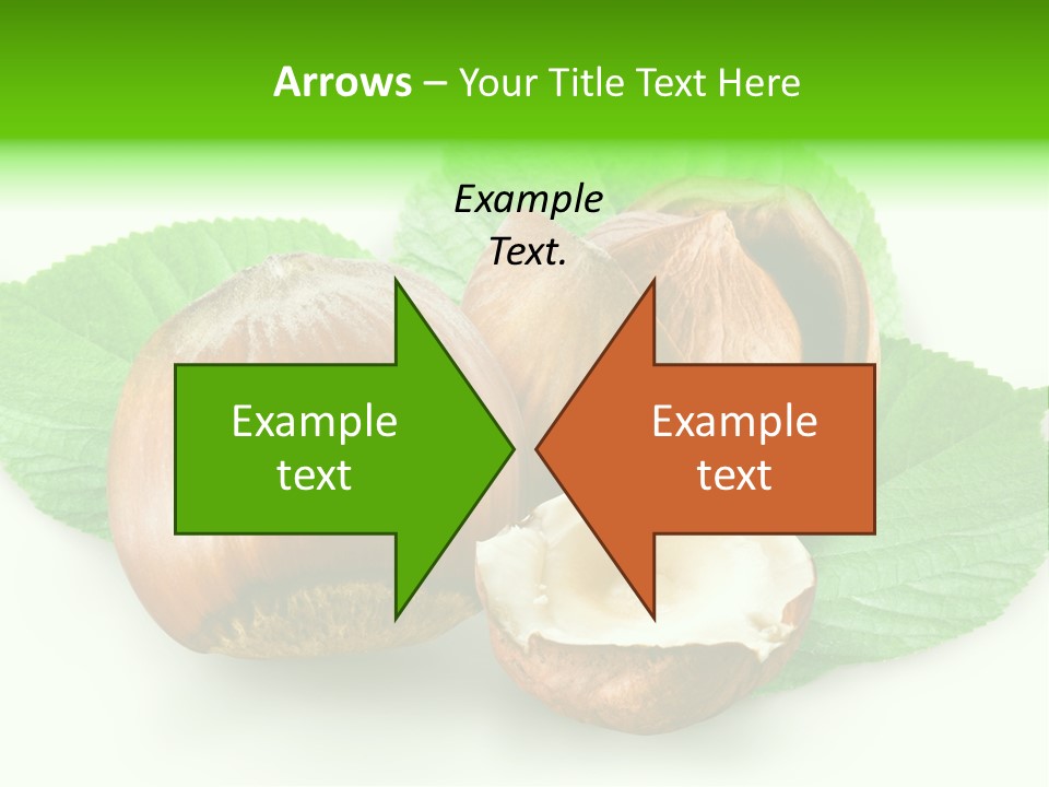 Shell Squirrel Background PowerPoint Template