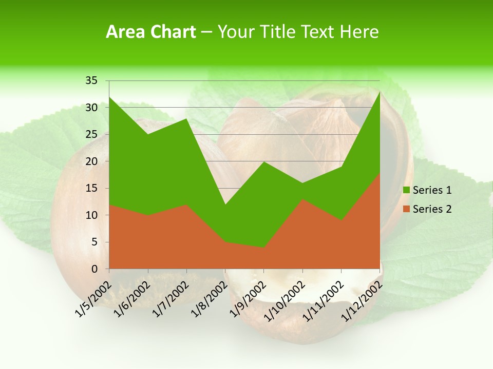 Shell Squirrel Background PowerPoint Template