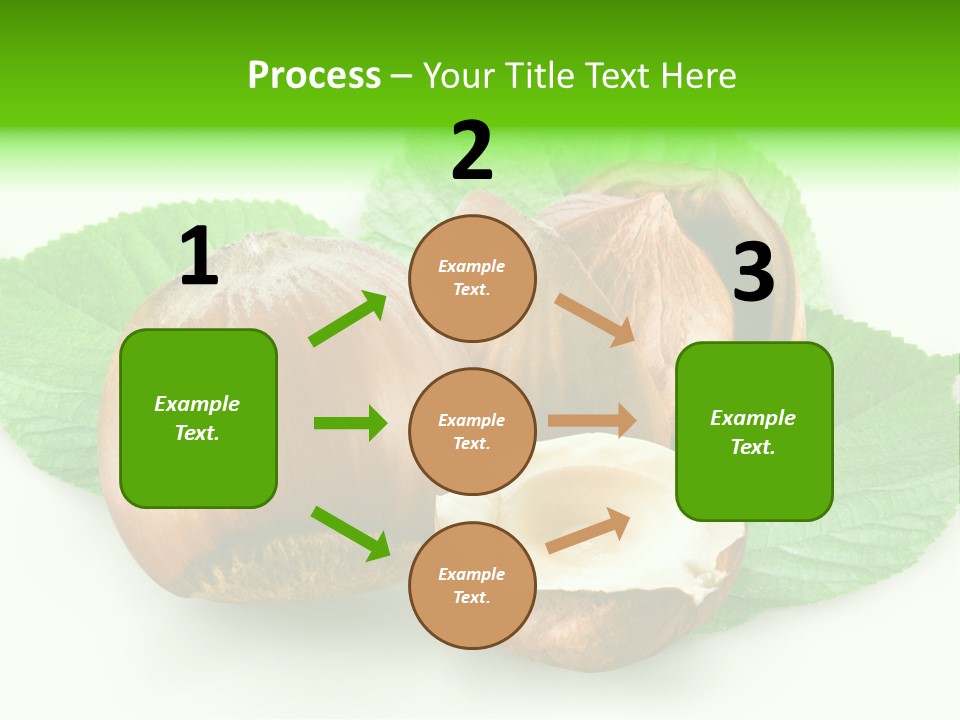 Shell Squirrel Background PowerPoint Template