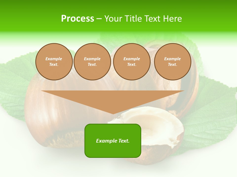 Shell Squirrel Background PowerPoint Template