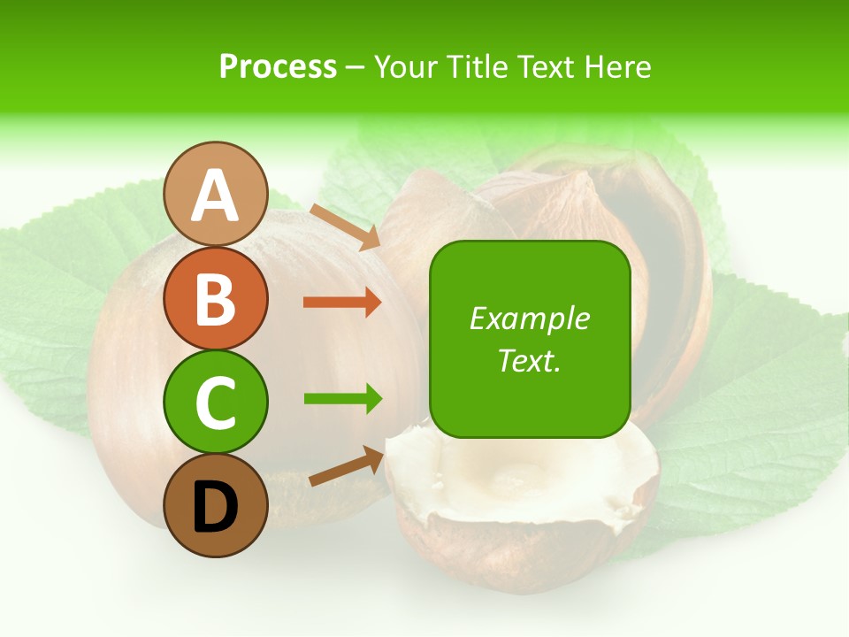 Shell Squirrel Background PowerPoint Template