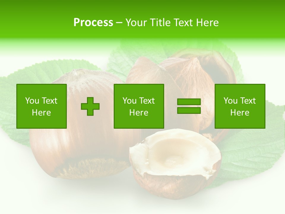 Shell Squirrel Background PowerPoint Template