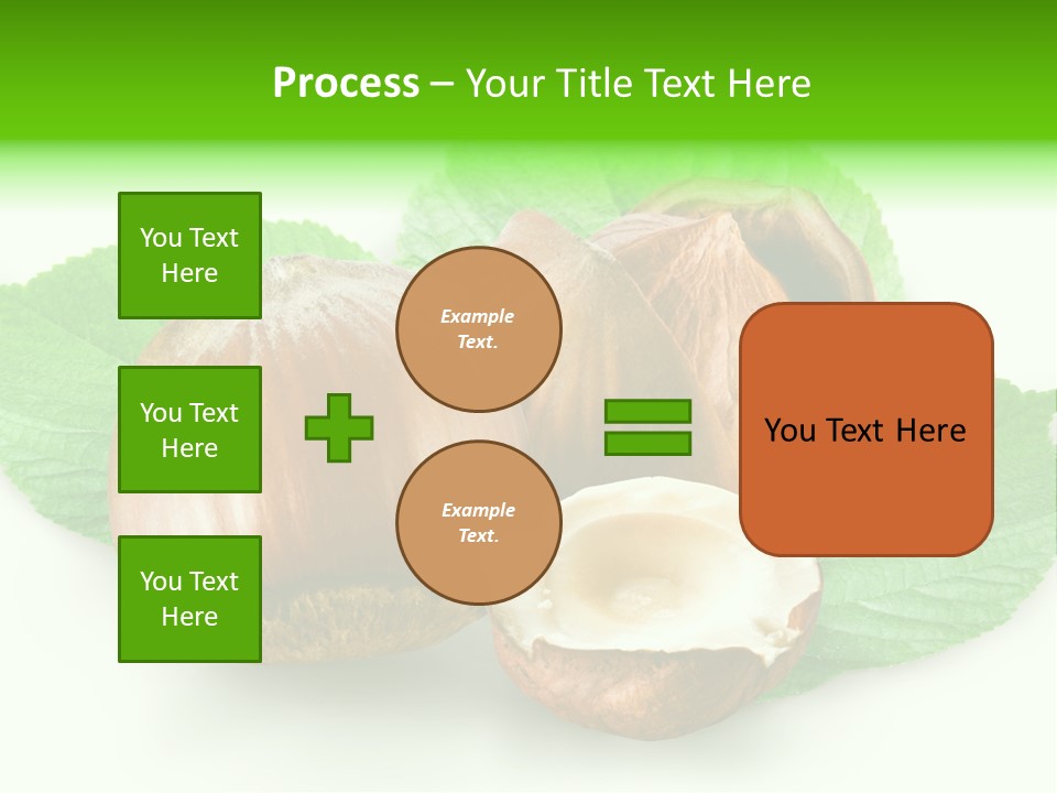 Shell Squirrel Background PowerPoint Template