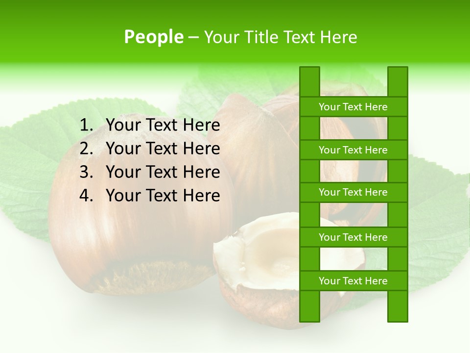 Shell Squirrel Background PowerPoint Template