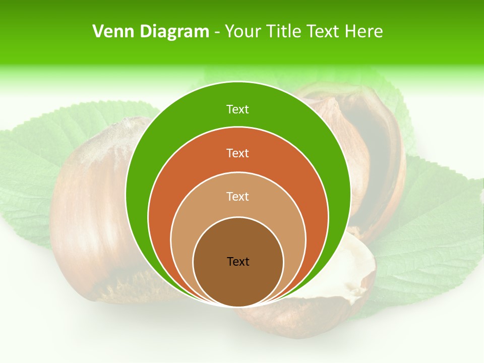 Shell Squirrel Background PowerPoint Template
