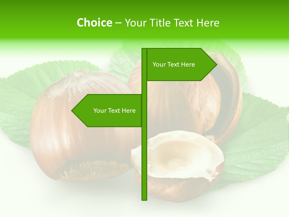 Shell Squirrel Background PowerPoint Template