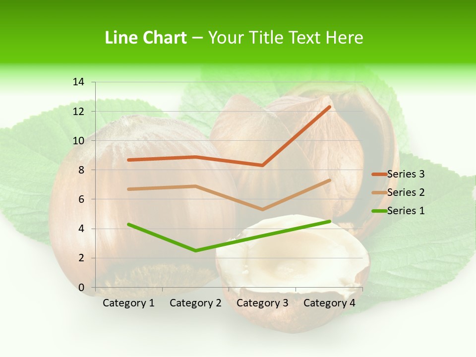 Shell Squirrel Background PowerPoint Template