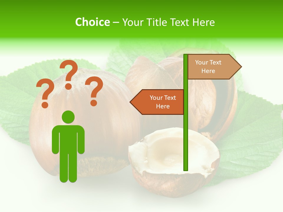 Shell Squirrel Background PowerPoint Template