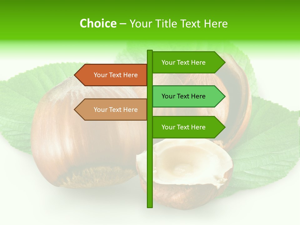 Shell Squirrel Background PowerPoint Template