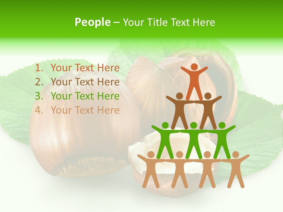 Shell Squirrel Background PowerPoint Template