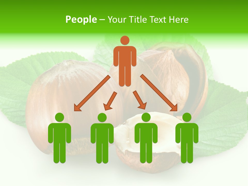 Shell Squirrel Background PowerPoint Template