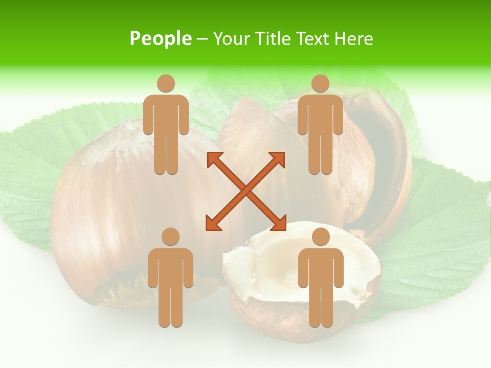 Shell Squirrel Background PowerPoint Template