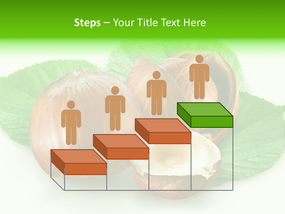 Shell Squirrel Background PowerPoint Template