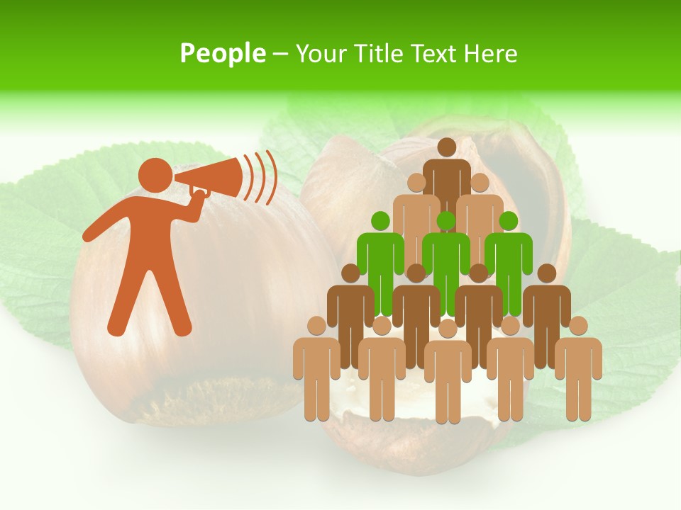 Shell Squirrel Background PowerPoint Template