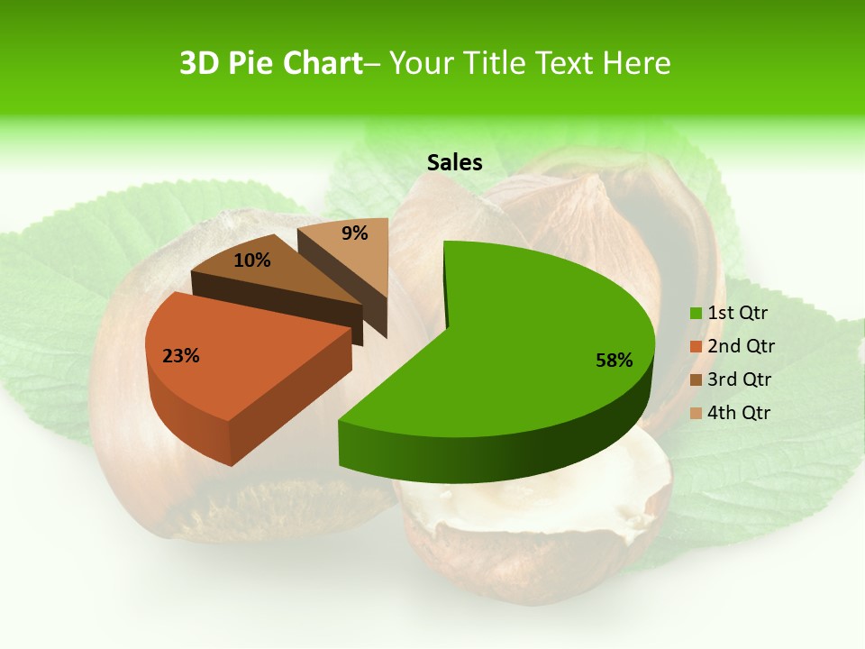 Shell Squirrel Background PowerPoint Template