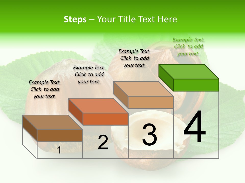 Shell Squirrel Background PowerPoint Template