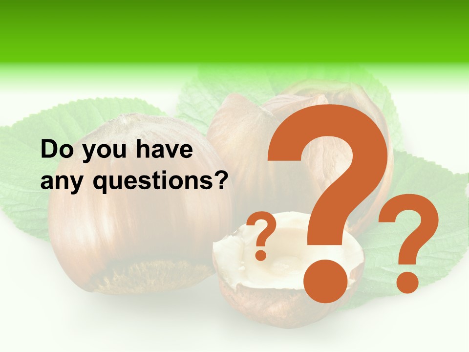 Shell Squirrel Background PowerPoint Template