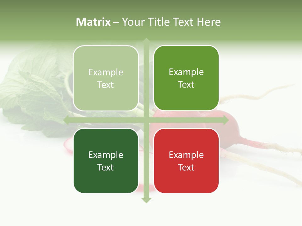 Ripe Radish Vegetarian PowerPoint Template