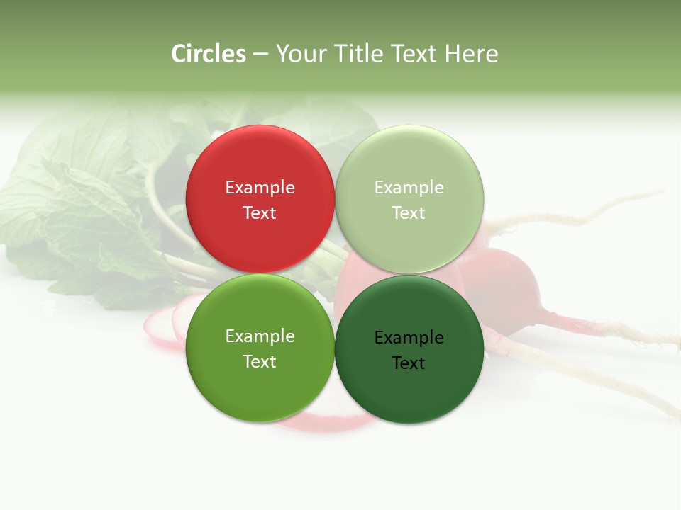Ripe Radish Vegetarian PowerPoint Template