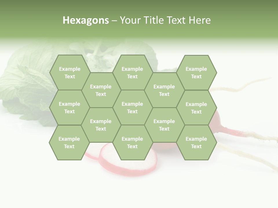 Ripe Radish Vegetarian PowerPoint Template