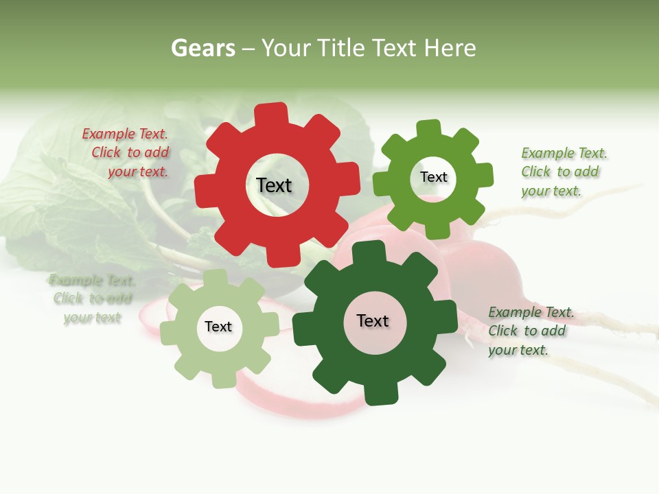 Ripe Radish Vegetarian PowerPoint Template