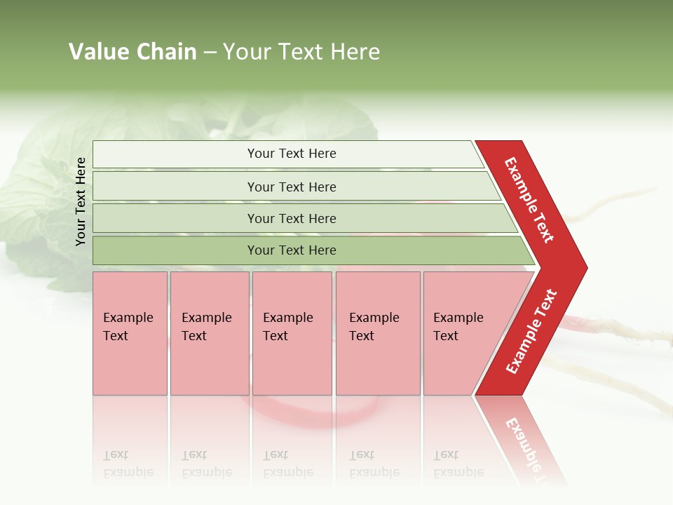 Ripe Radish Vegetarian PowerPoint Template