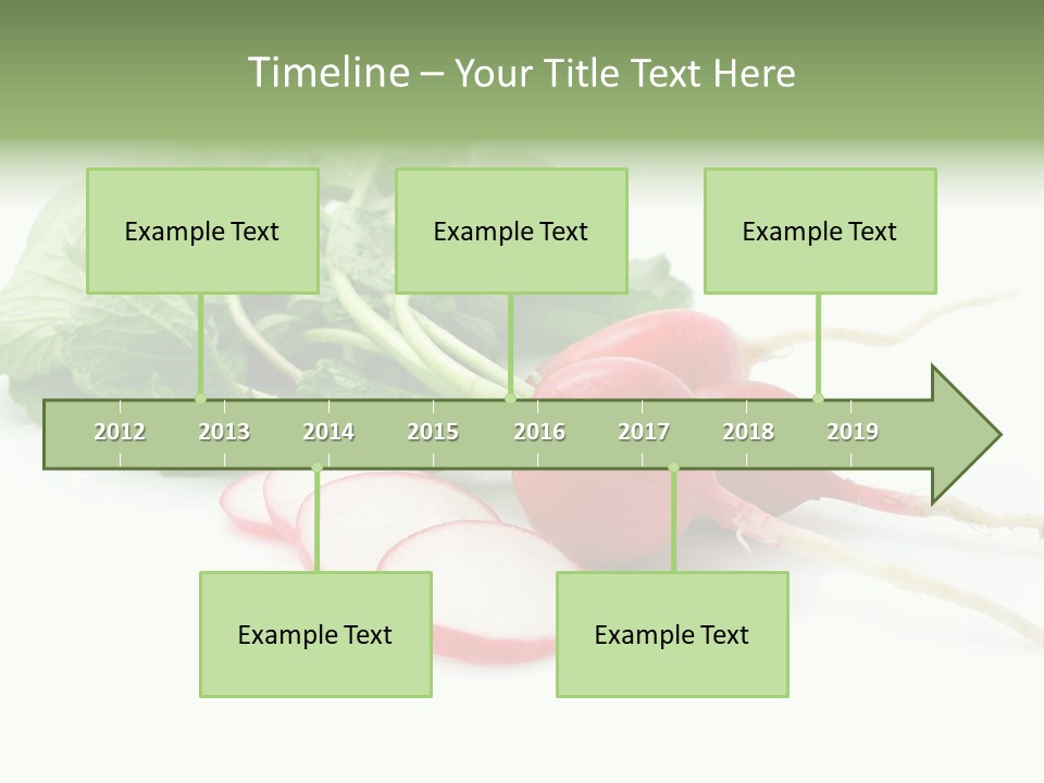 Ripe Radish Vegetarian PowerPoint Template