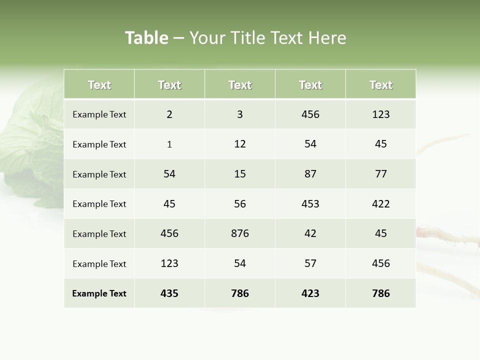 Ripe Radish Vegetarian PowerPoint Template