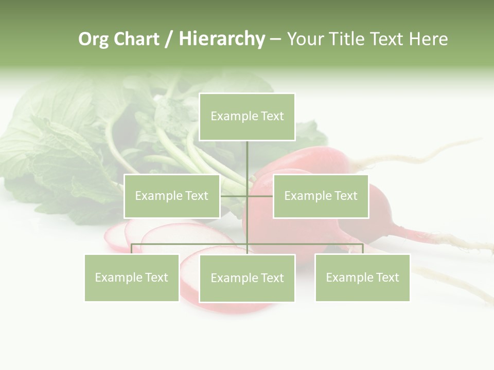 Ripe Radish Vegetarian PowerPoint Template