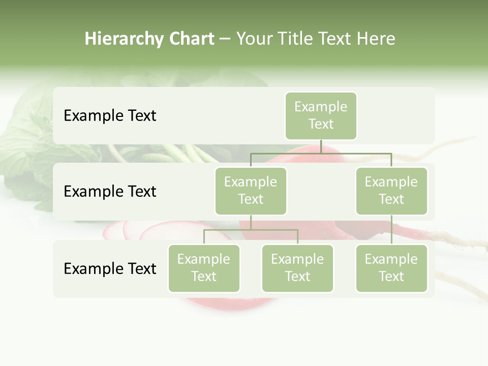 Ripe Radish Vegetarian PowerPoint Template