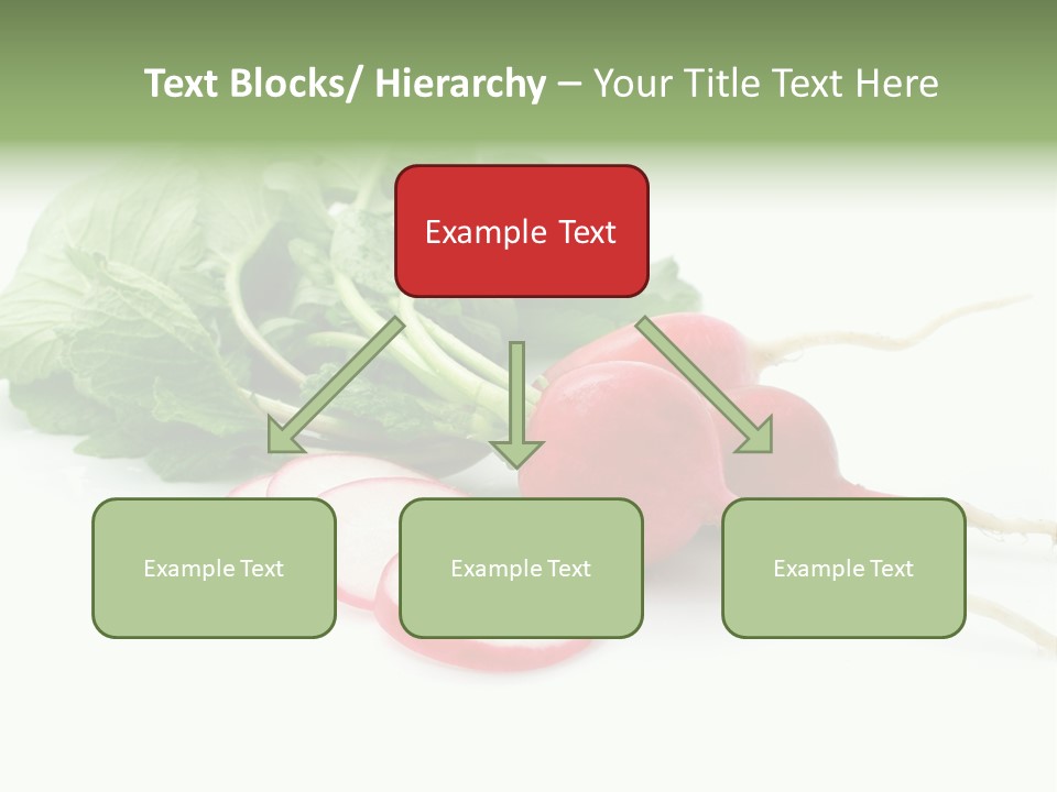 Ripe Radish Vegetarian PowerPoint Template
