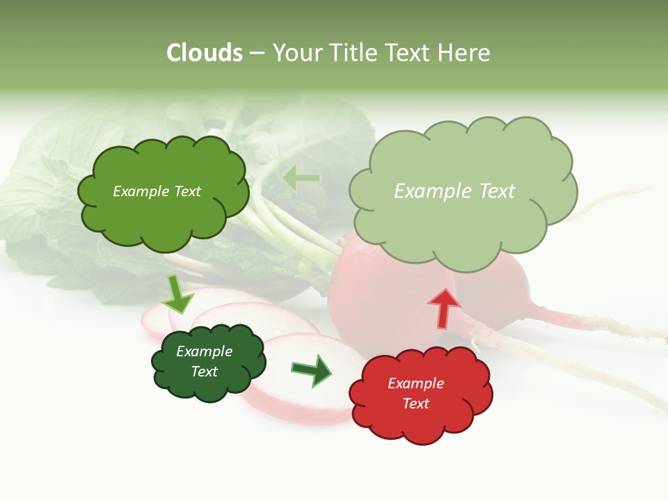 Ripe Radish Vegetarian PowerPoint Template