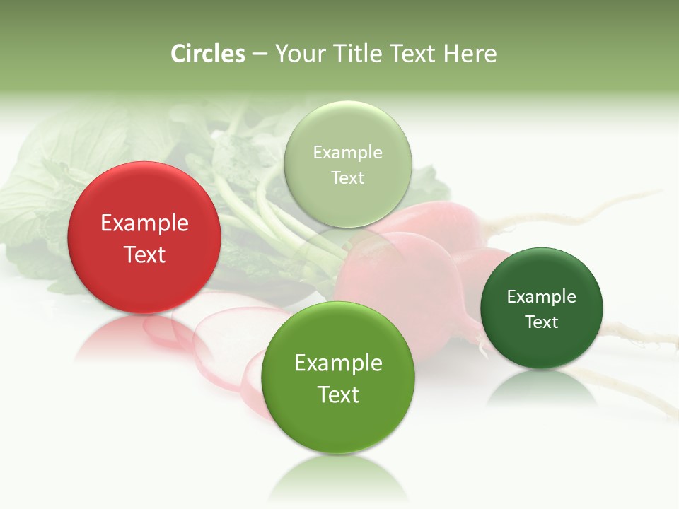 Ripe Radish Vegetarian PowerPoint Template