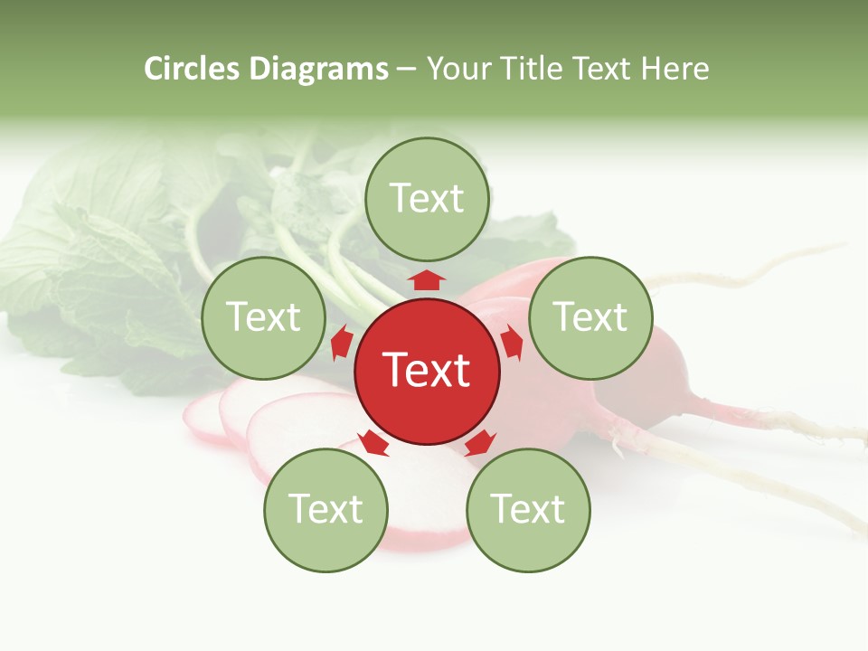 Ripe Radish Vegetarian PowerPoint Template