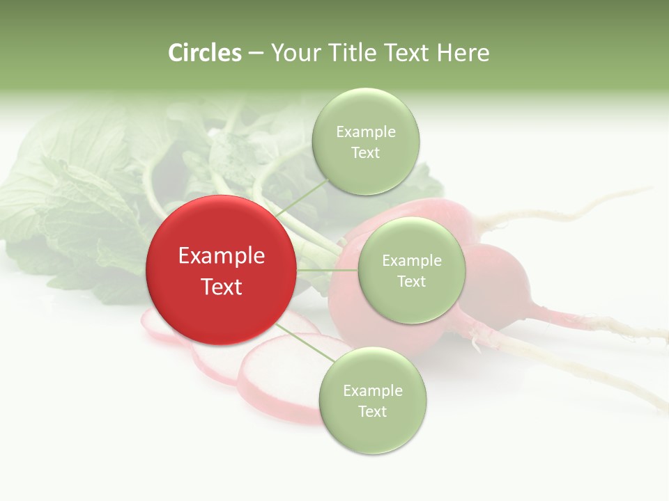 Ripe Radish Vegetarian PowerPoint Template