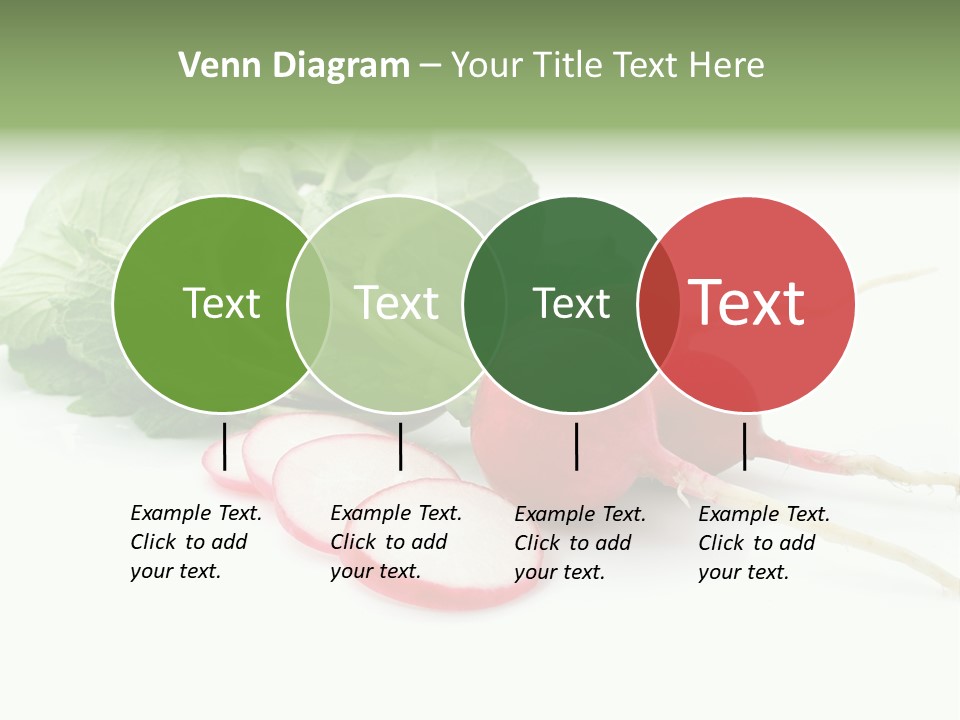 Ripe Radish Vegetarian PowerPoint Template
