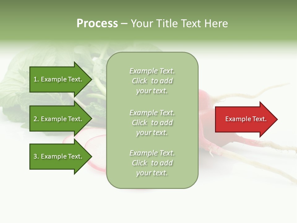 Ripe Radish Vegetarian PowerPoint Template