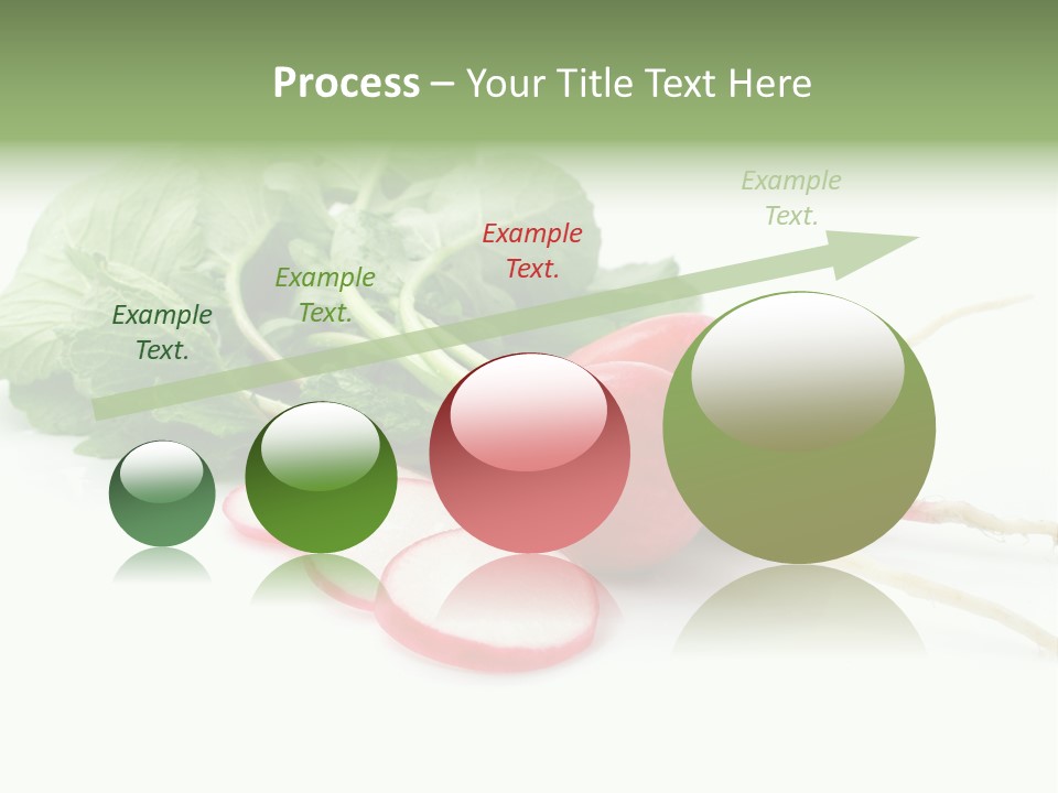 Ripe Radish Vegetarian PowerPoint Template