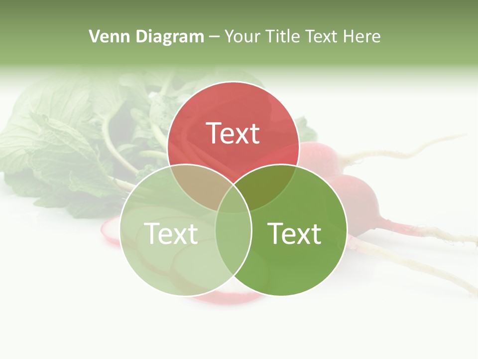 Ripe Radish Vegetarian PowerPoint Template
