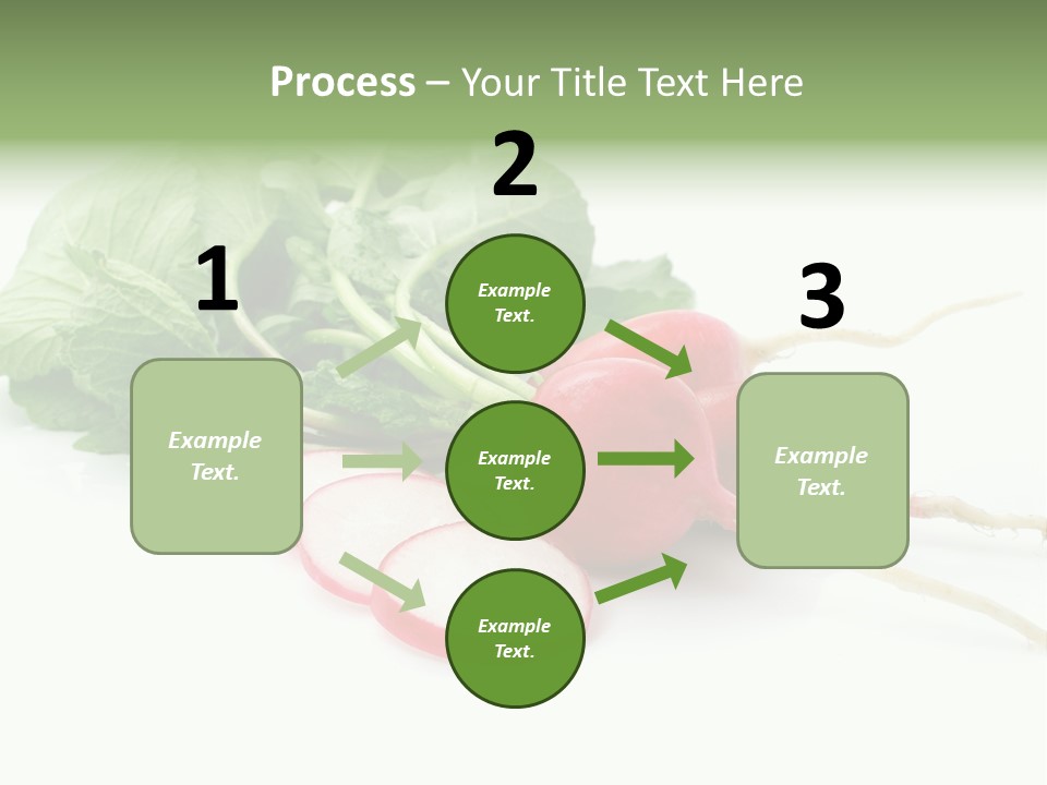Ripe Radish Vegetarian PowerPoint Template