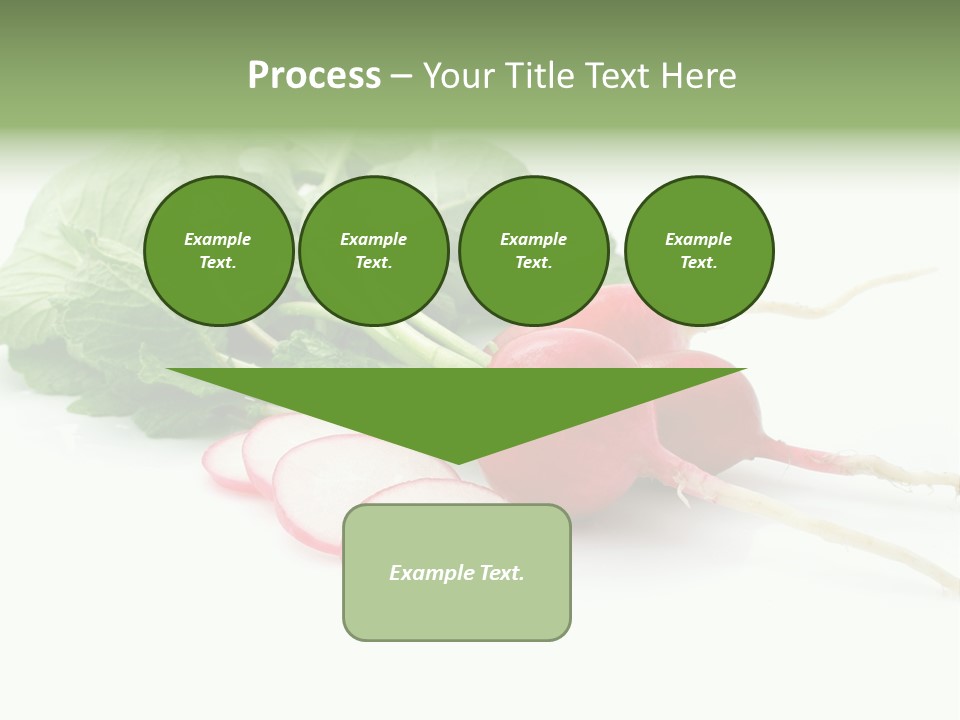 Ripe Radish Vegetarian PowerPoint Template