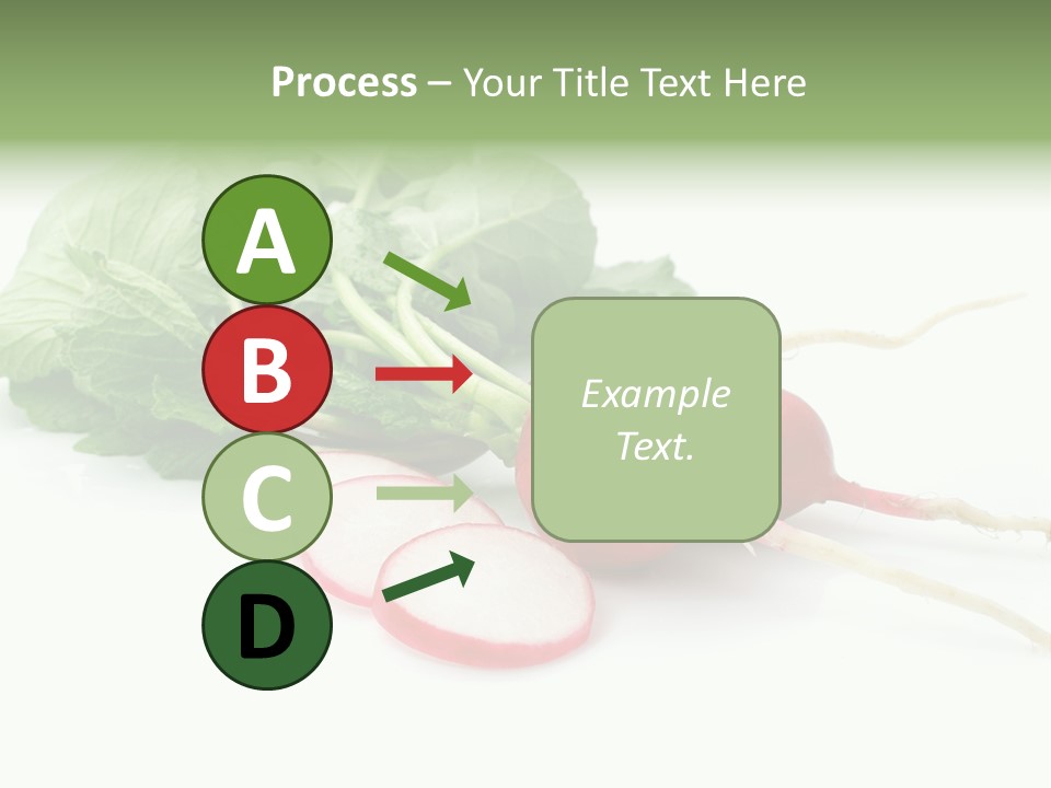 Ripe Radish Vegetarian PowerPoint Template