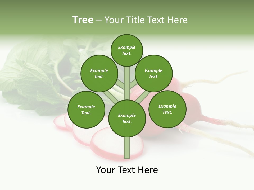 Ripe Radish Vegetarian PowerPoint Template