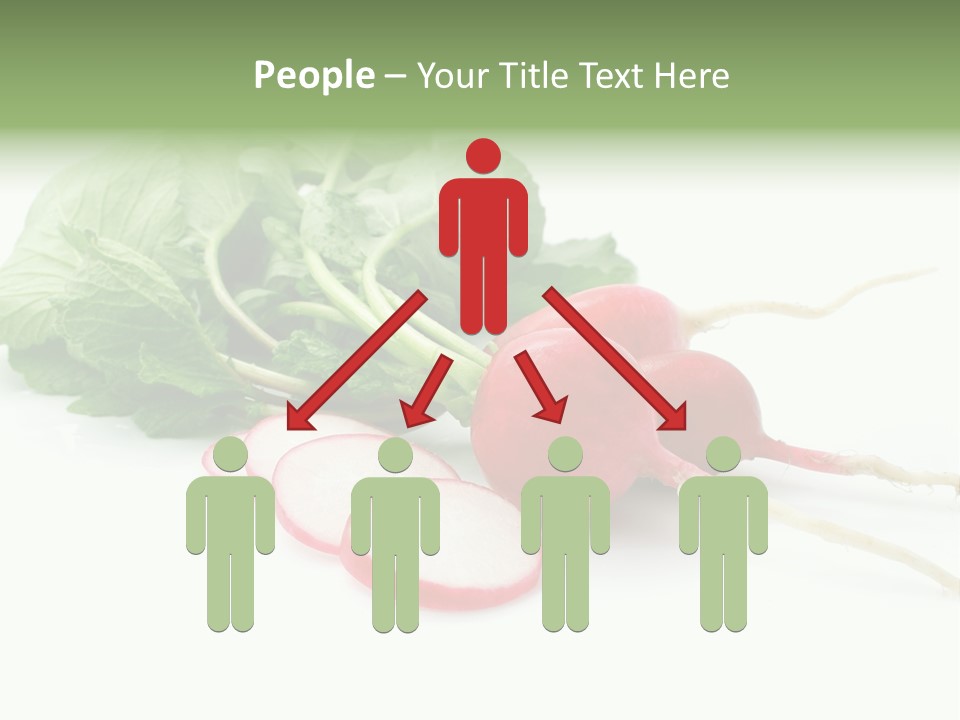 Ripe Radish Vegetarian PowerPoint Template
