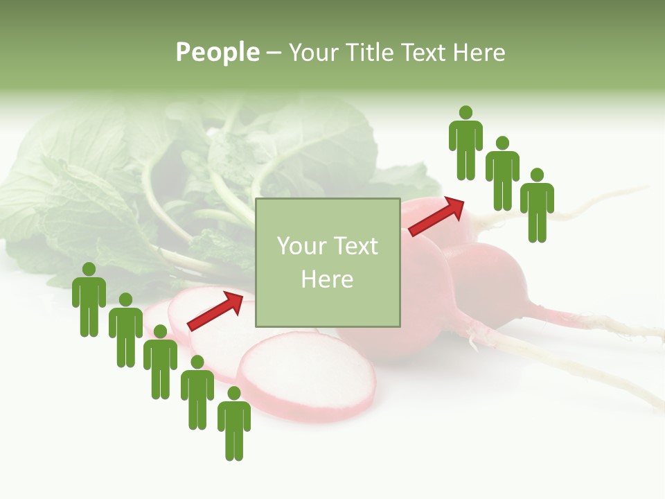 Ripe Radish Vegetarian PowerPoint Template