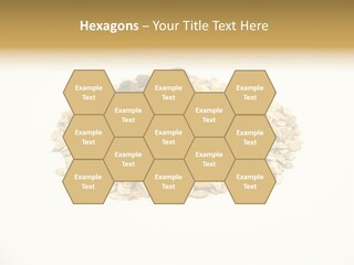 Healthy Cereal Nut PowerPoint Template