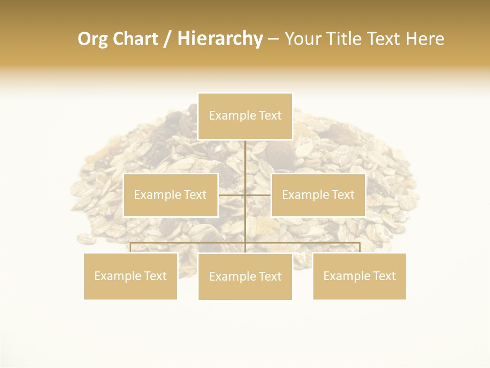 Healthy Cereal Nut PowerPoint Template